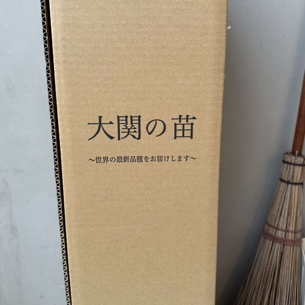 ブルーベリー クレイワー 大関ナーセリー