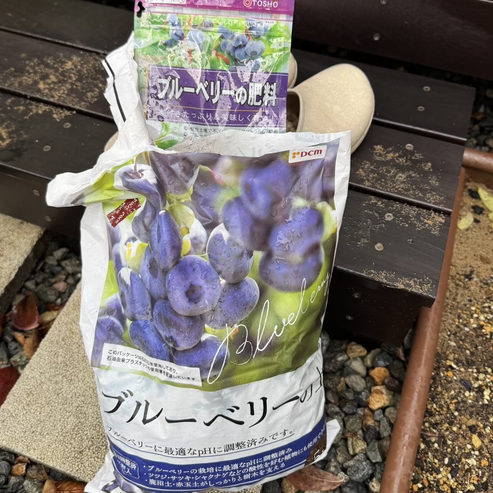 ブルーベリー クレイワー 大関ナーセリー