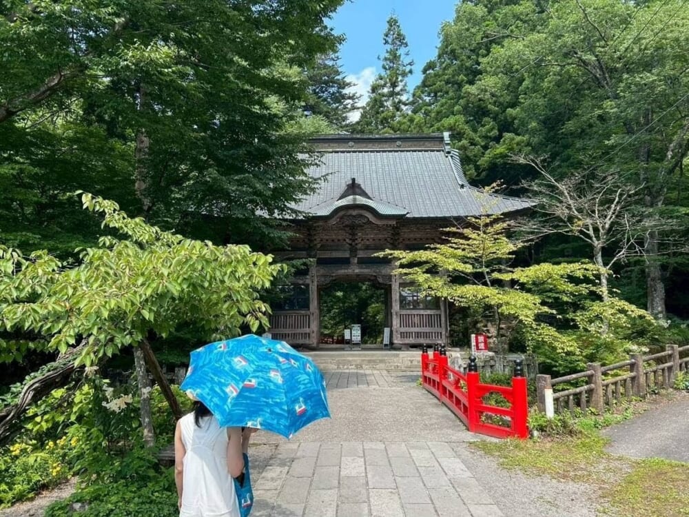 イイダ傘店　日傘　オーダー