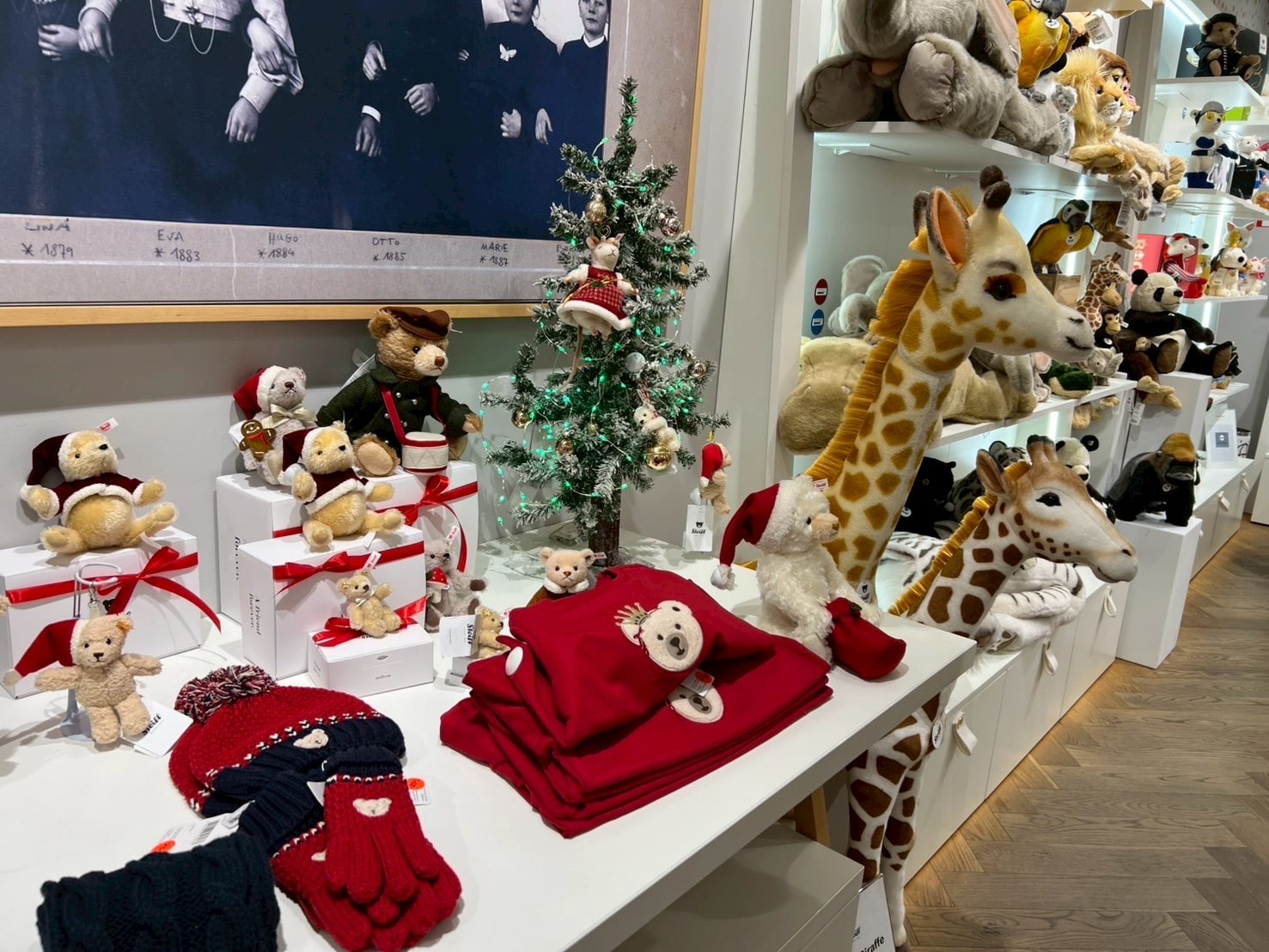 フランクフルト・レーマー広場にあるシュタイフのお店　店内の様子