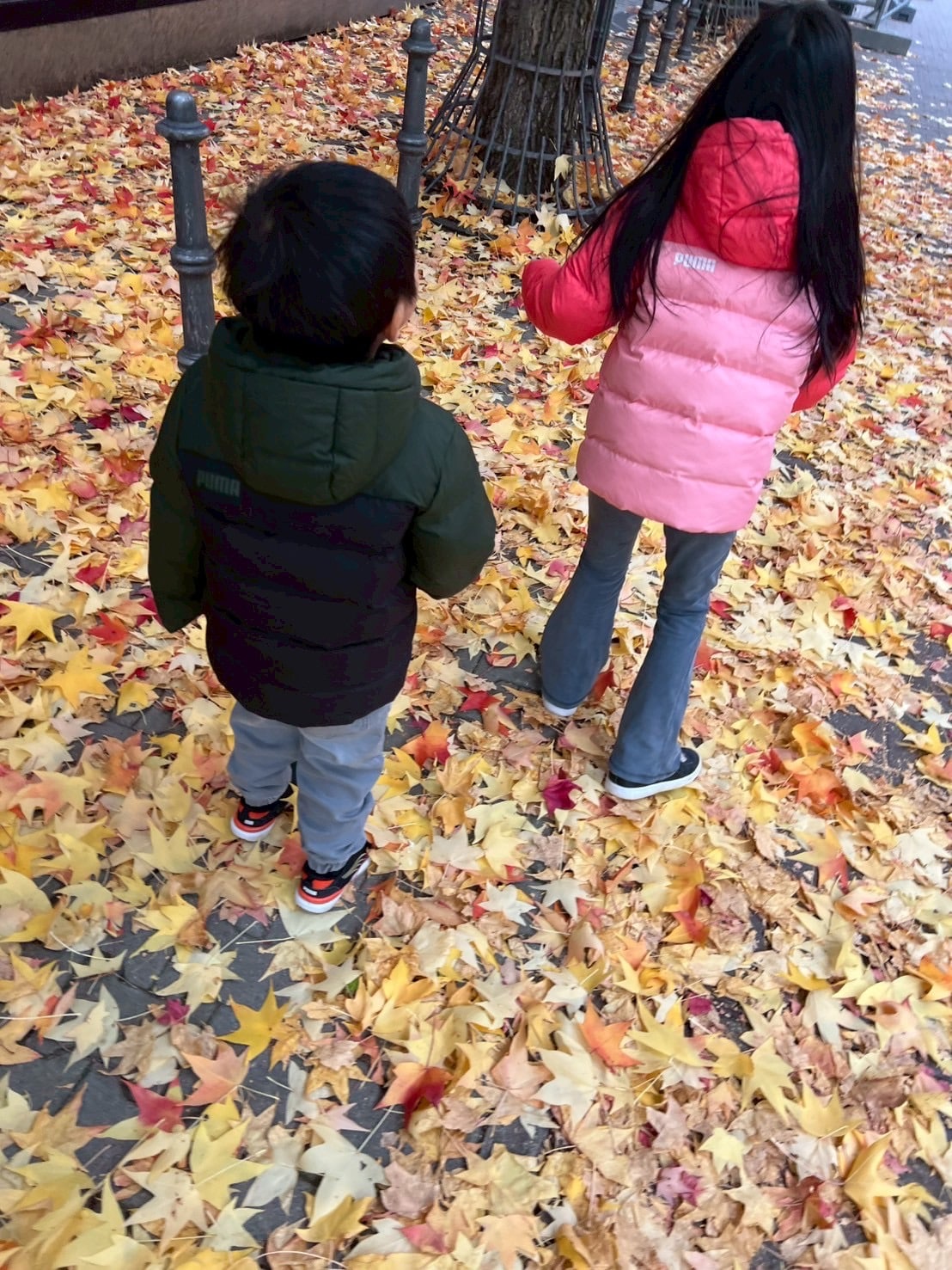 PUMA（プーマ）のアウターを着た子どもたち