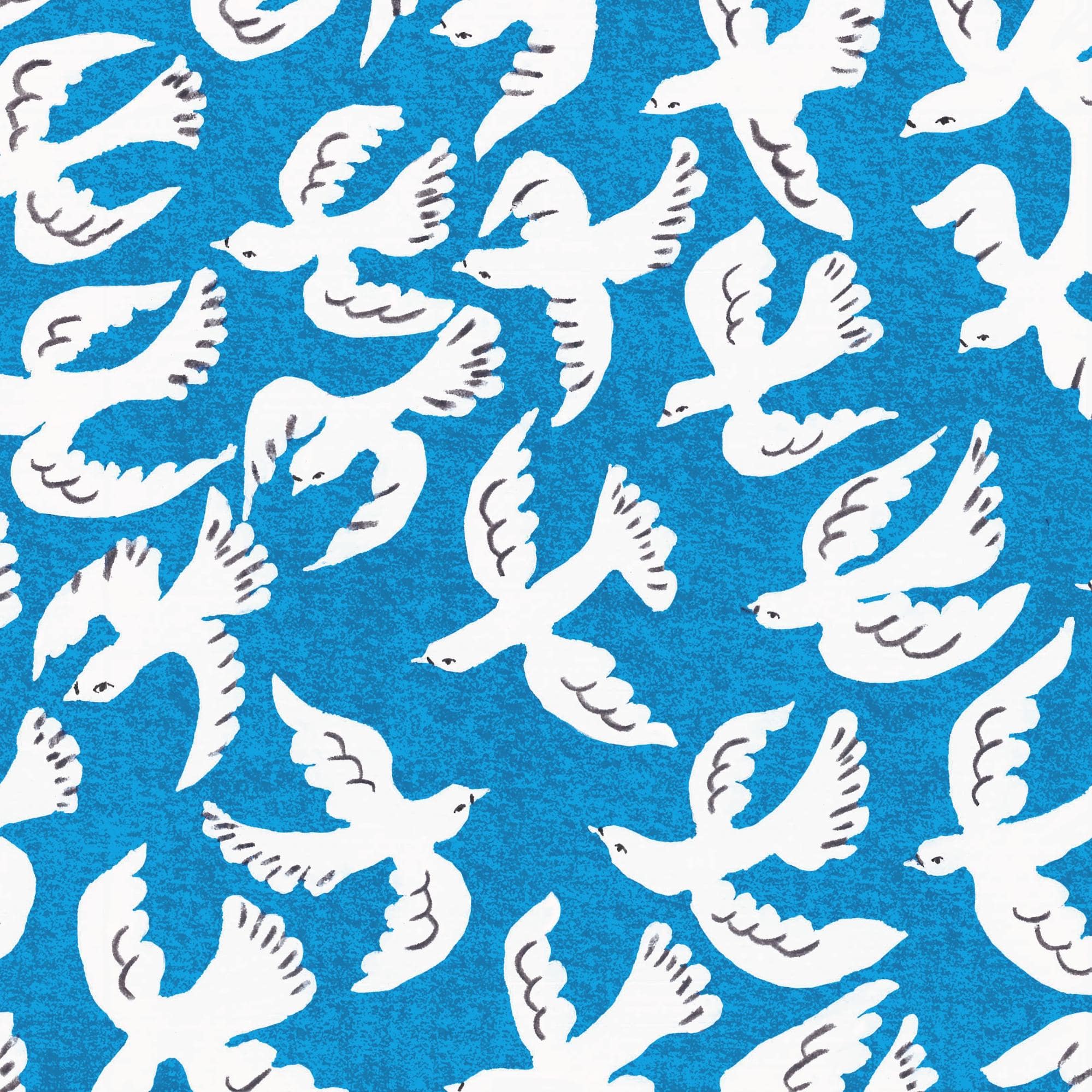 hope flight 希望飛行　柄