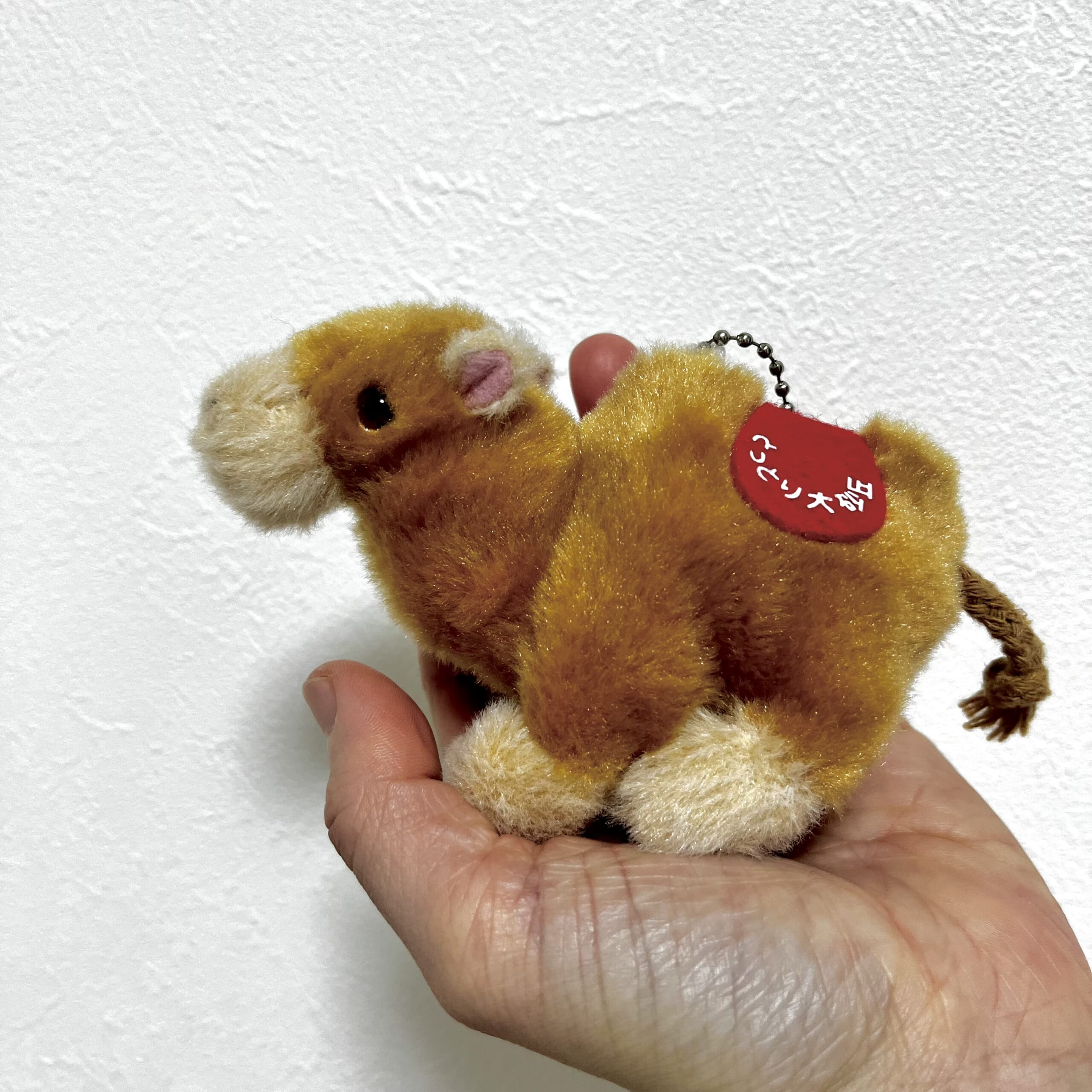 ラクダ　キーホルダー　ぬいぐるみ