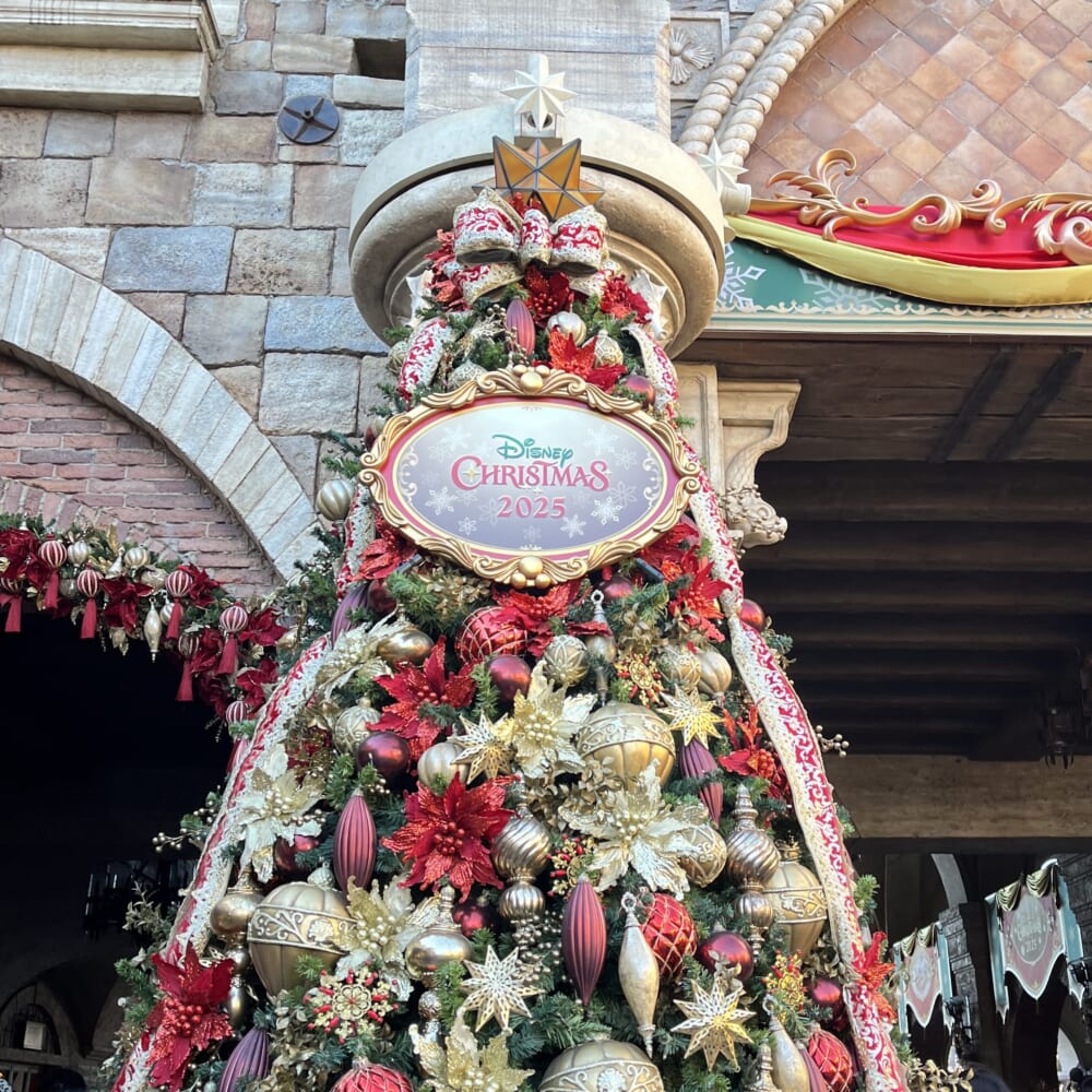 ディズニーシー　クリスマス　東京