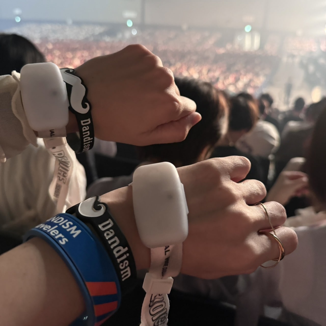 ヒゲダン
ライブ