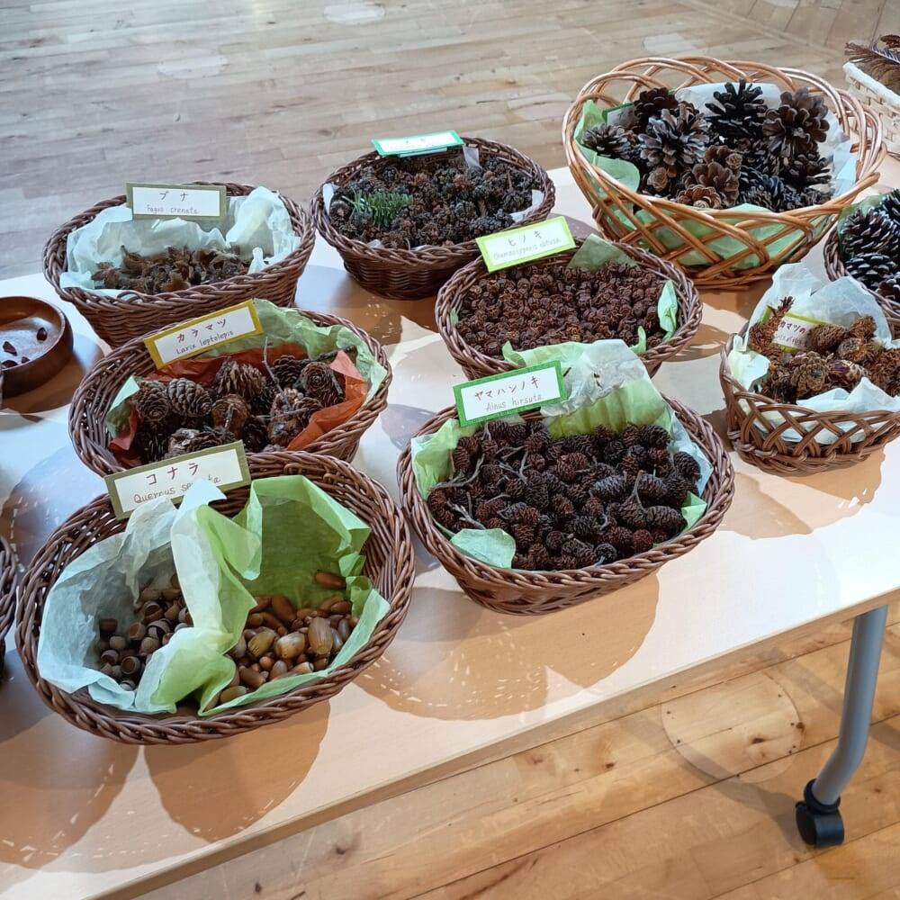 森の学習館　クラフト　手作り