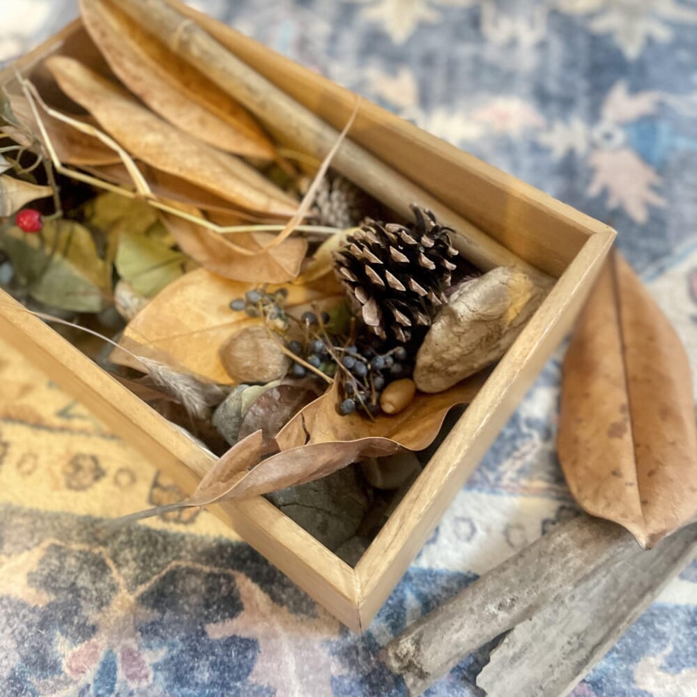 木の実　自然素材　材料　松ぼっくり　枯れ葉