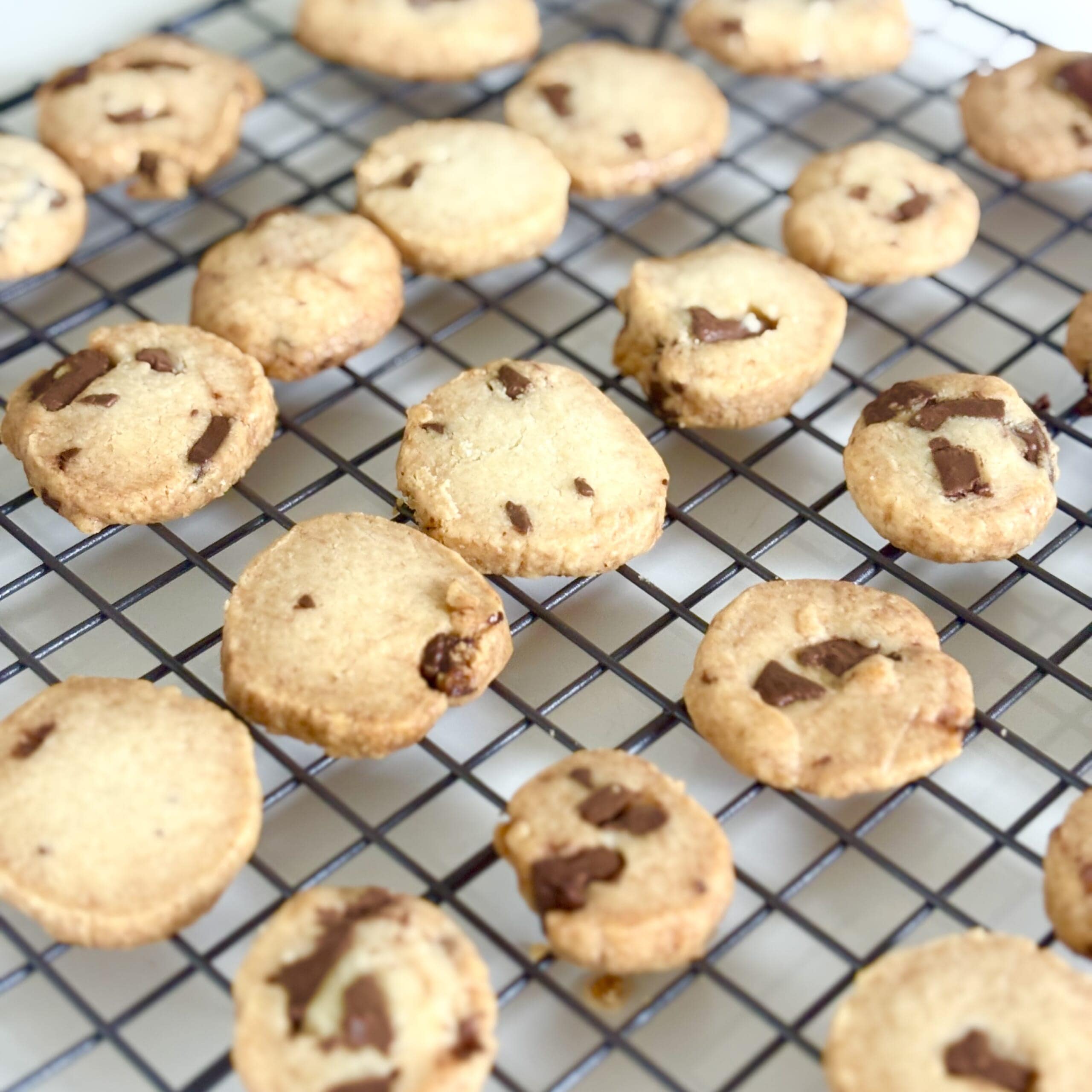 チョコチップクッキーレシピ