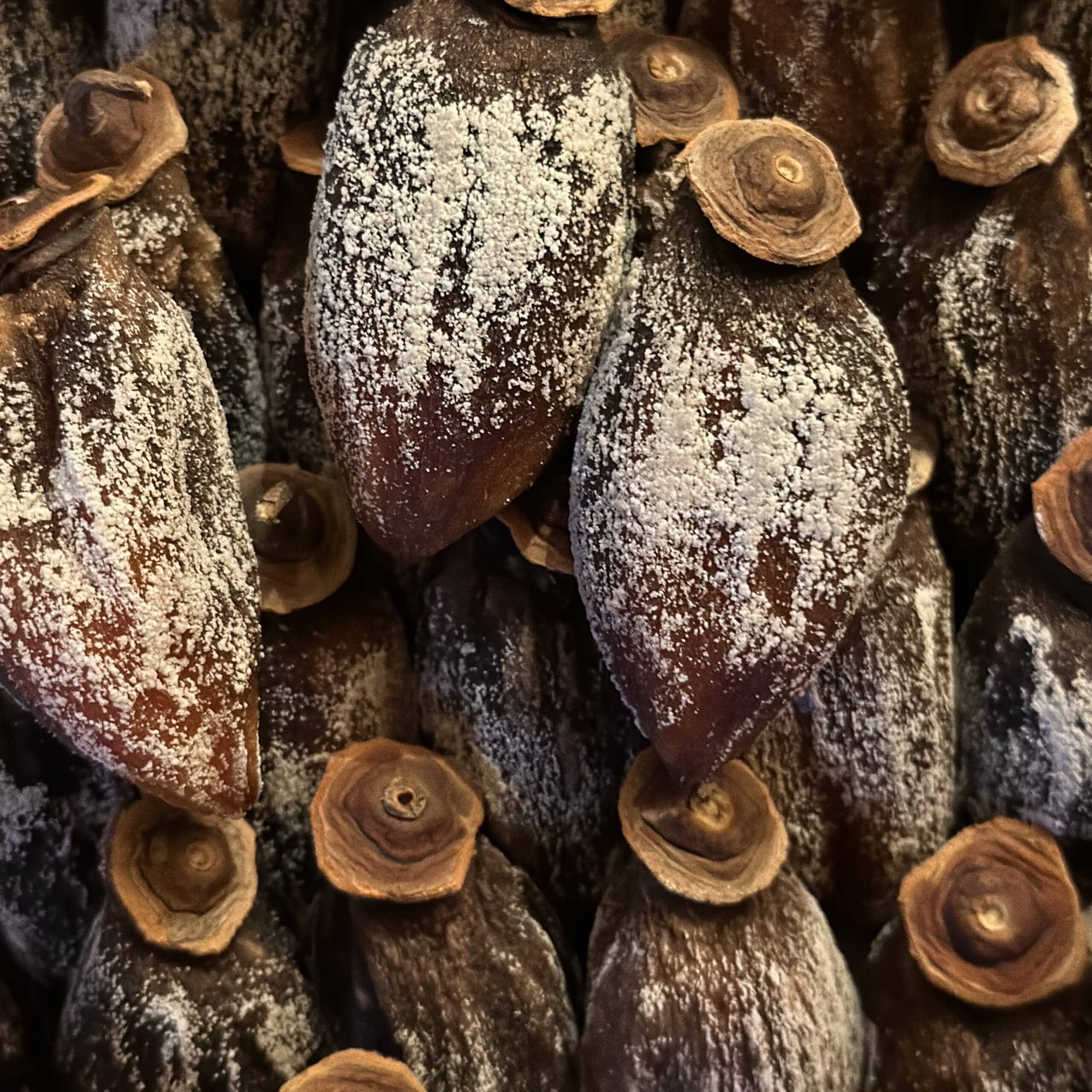 自家製干し柿 柿 手仕事