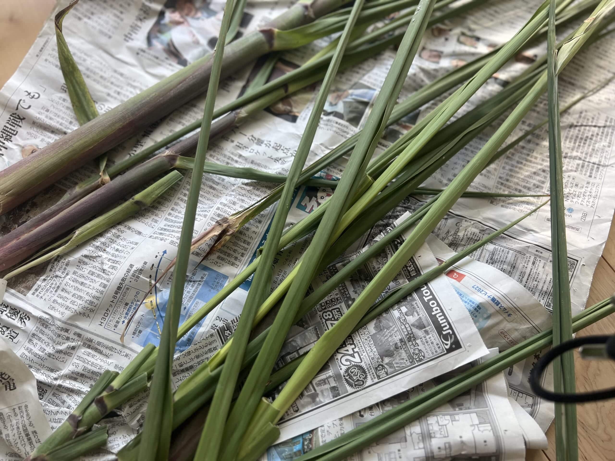 【沖縄】さとうきびでしめ縄アレンジ2025 TBicoco