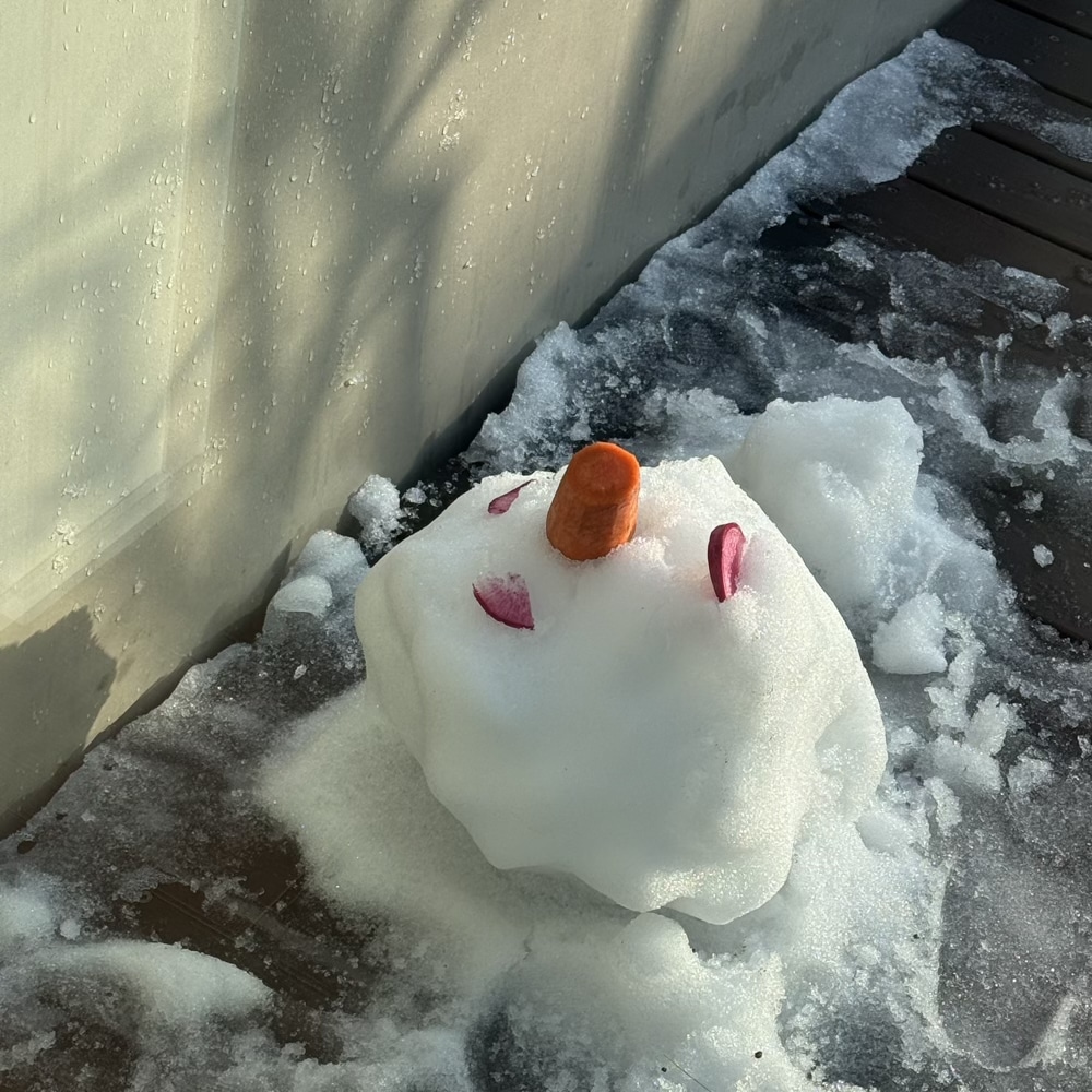 雪だるま作り　石川県　冬