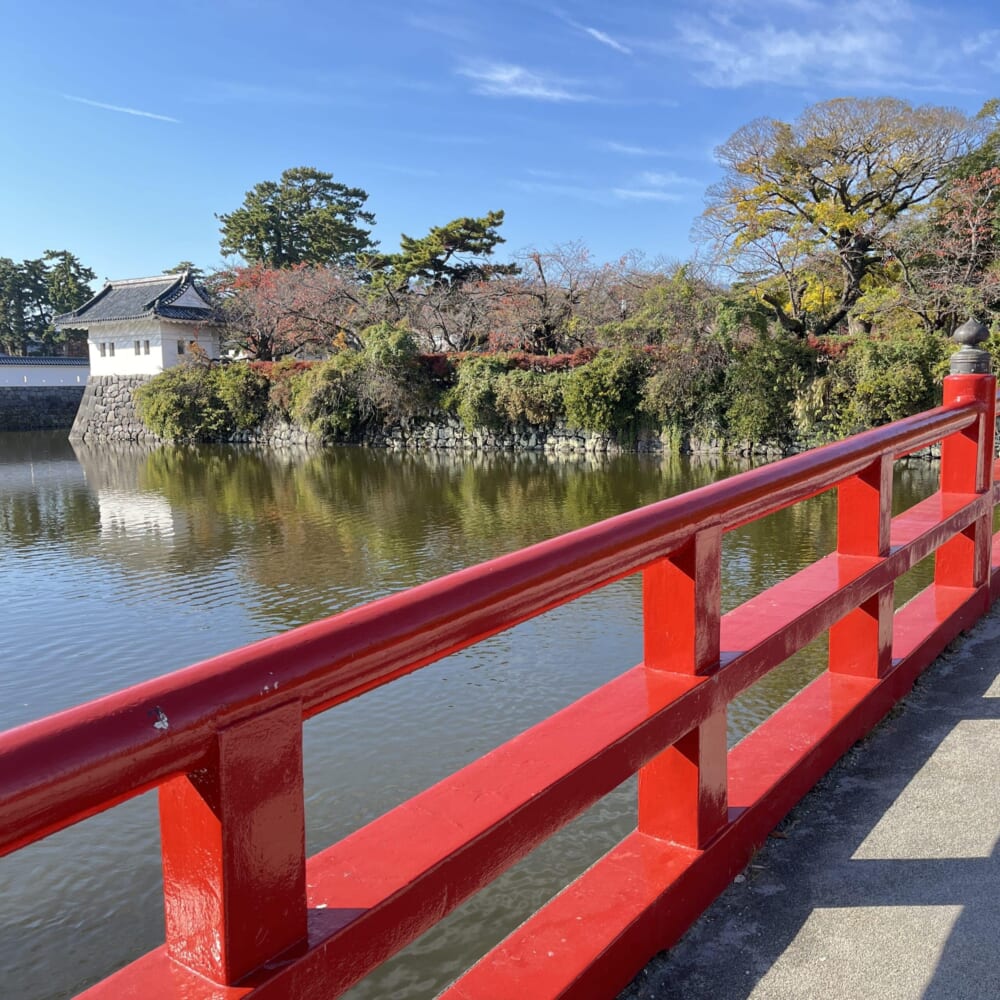小田原城　日帰り　小学生