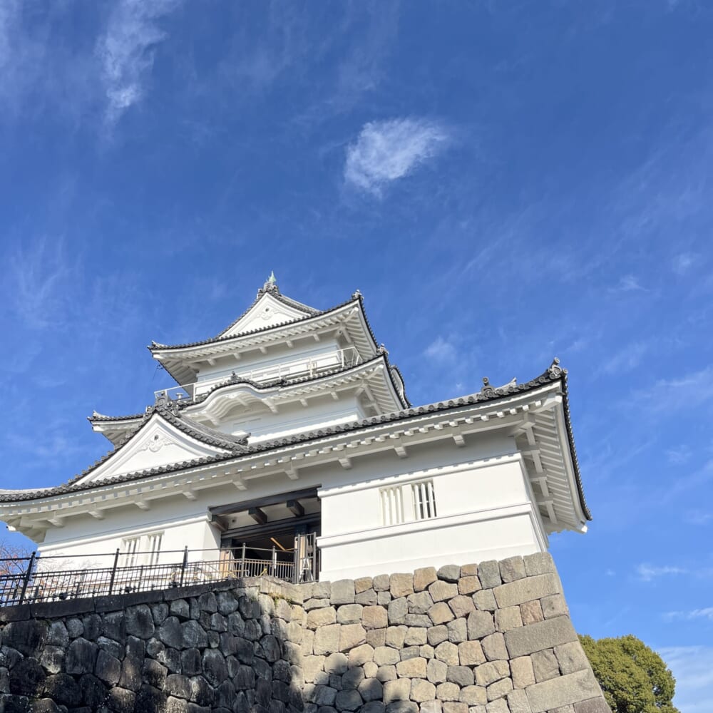 小田原城　日帰り　小学生