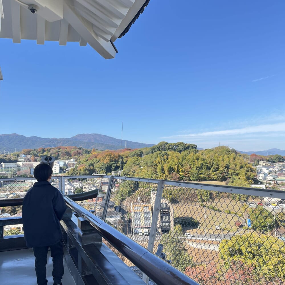 小田原城　日帰り　小学生