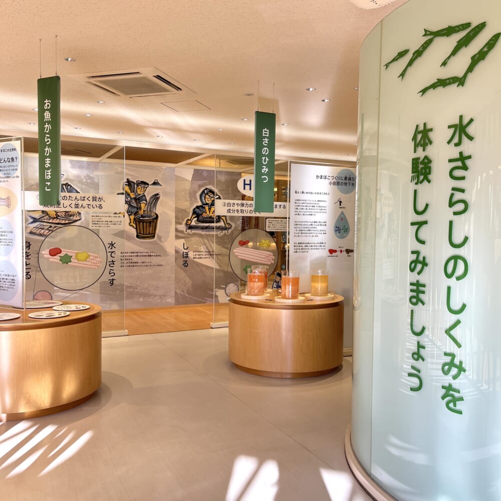 鈴廣　かまぼこ作り　体験