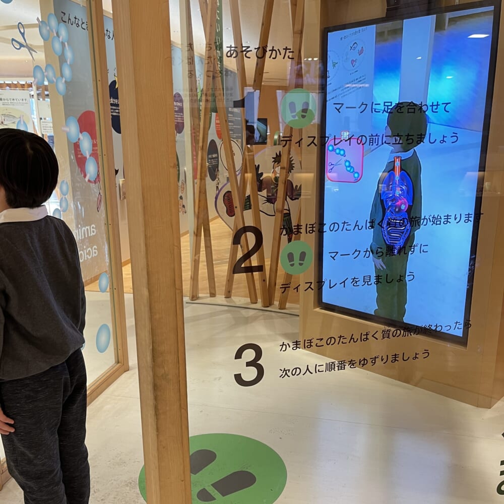 鈴廣　かまぼこ作り　体験