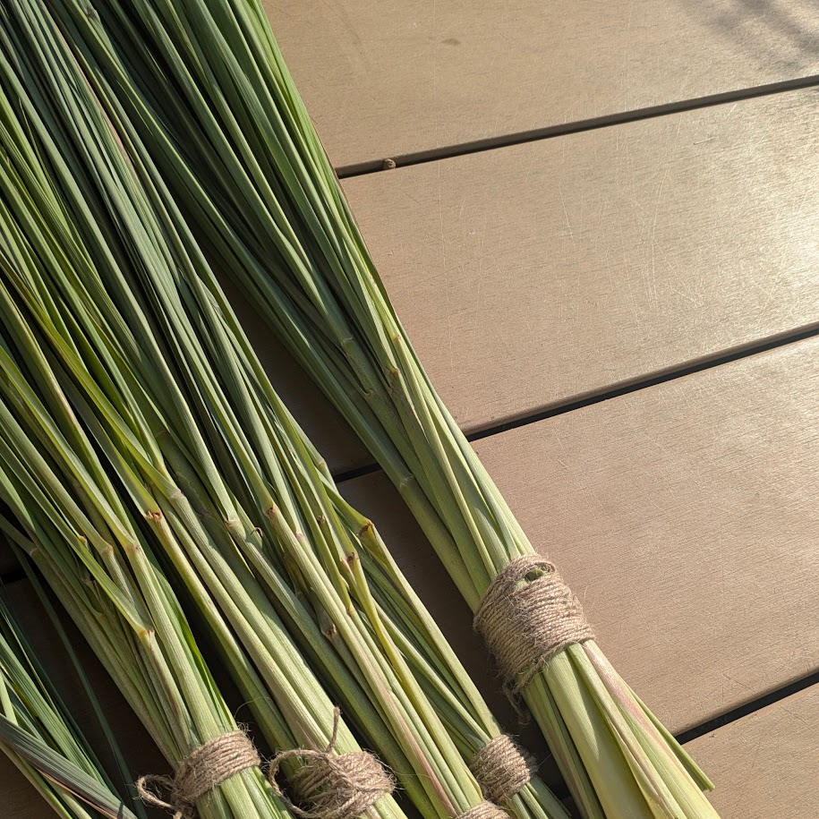 レモングラス 庭 LEE100コポ