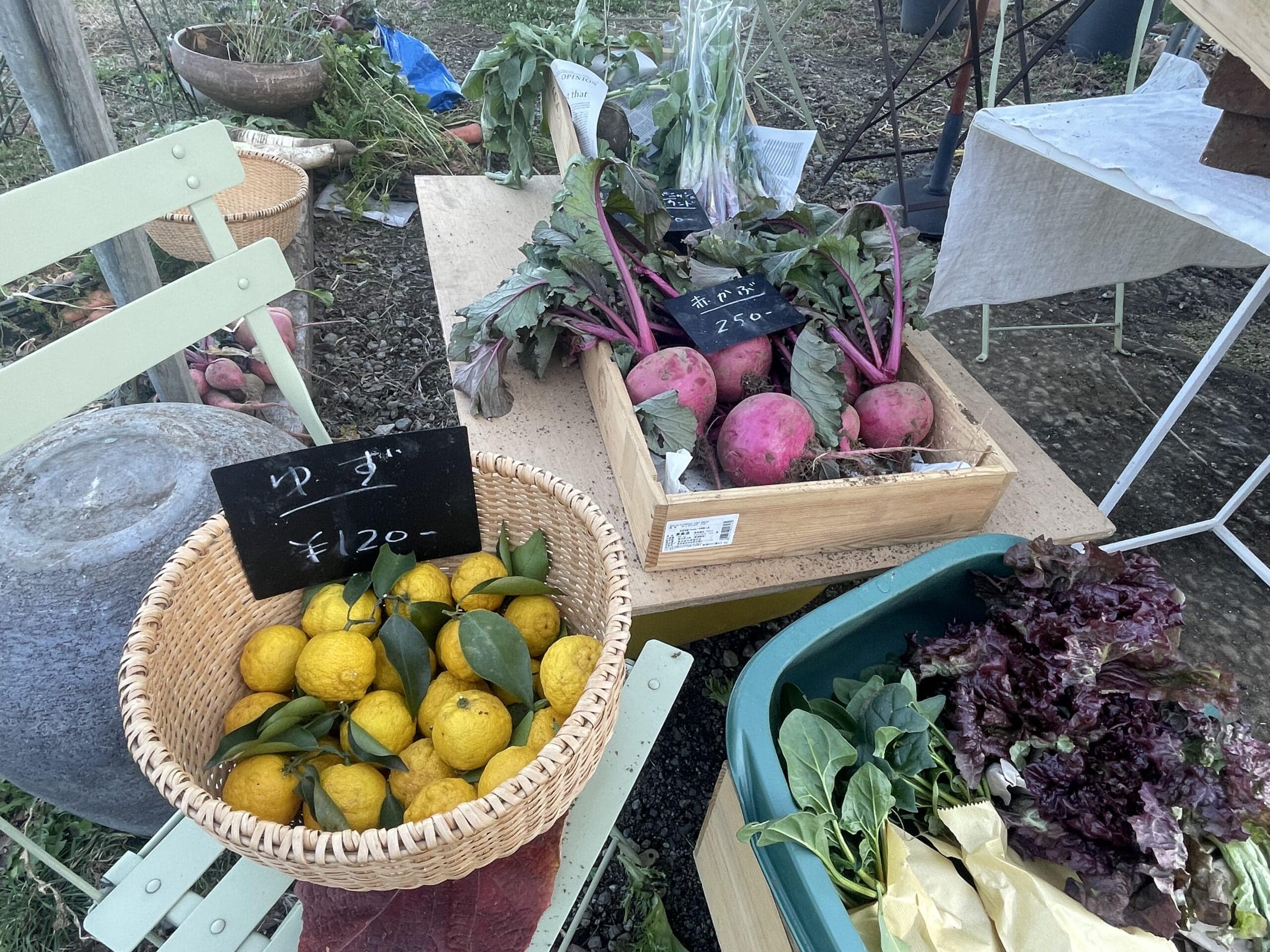 JIKE STUDIO FARMの軒先野菜販売。2025年の年末。