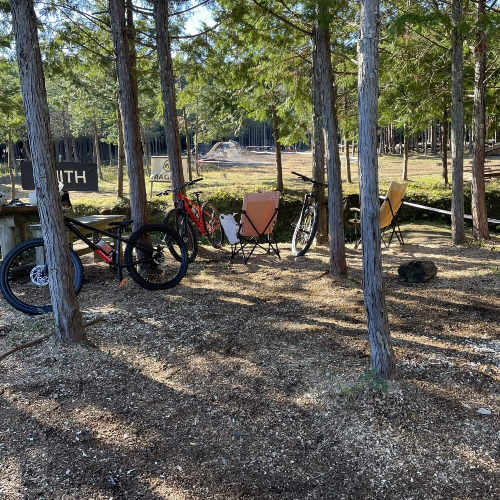 小田原 フォレストバイク MTB