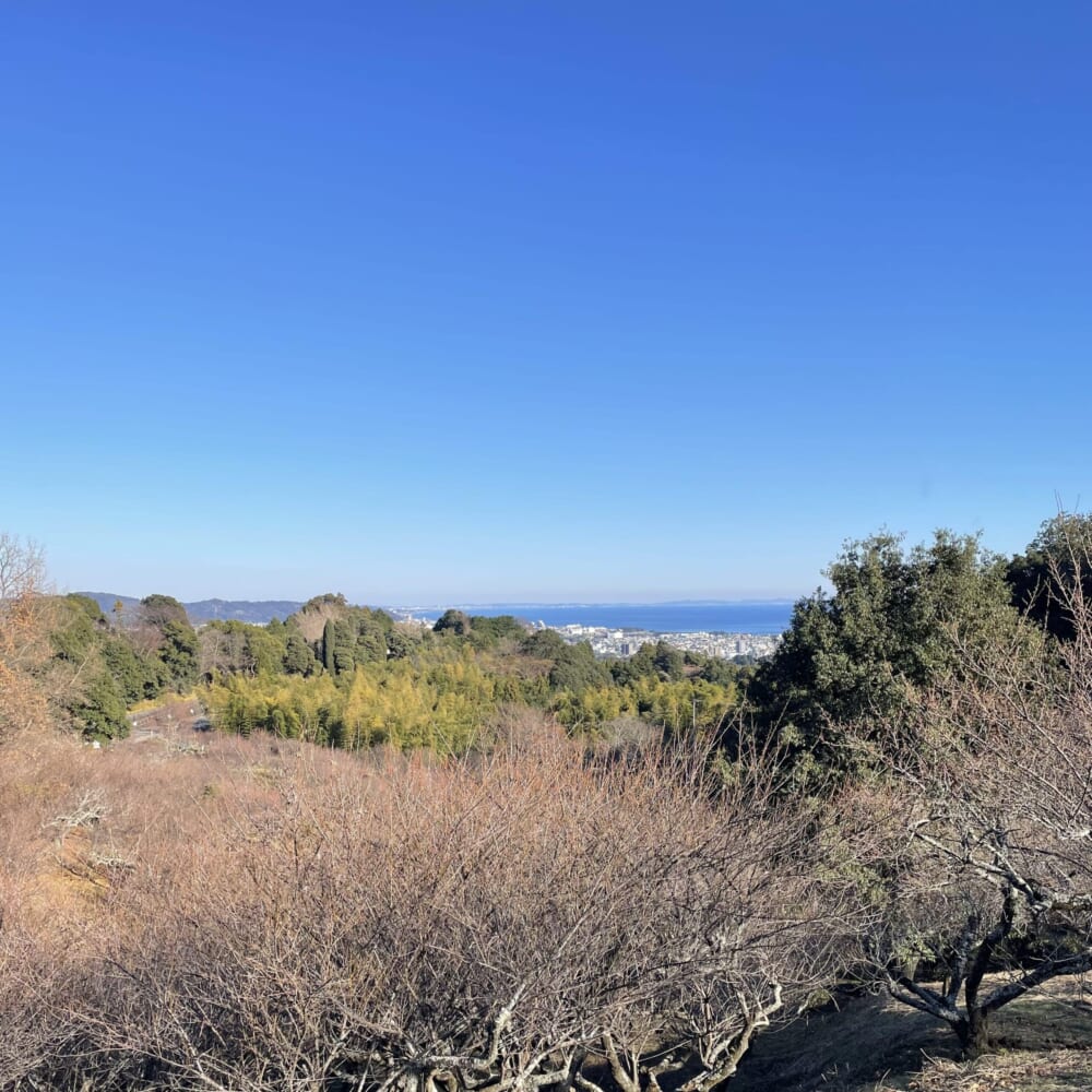 小田原 フォレストバイク MTB マウンテンバイク