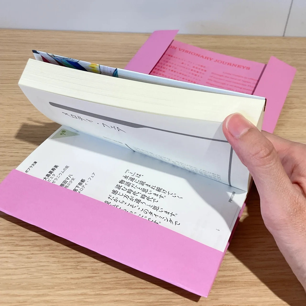 チラシ　文庫本　カバー③