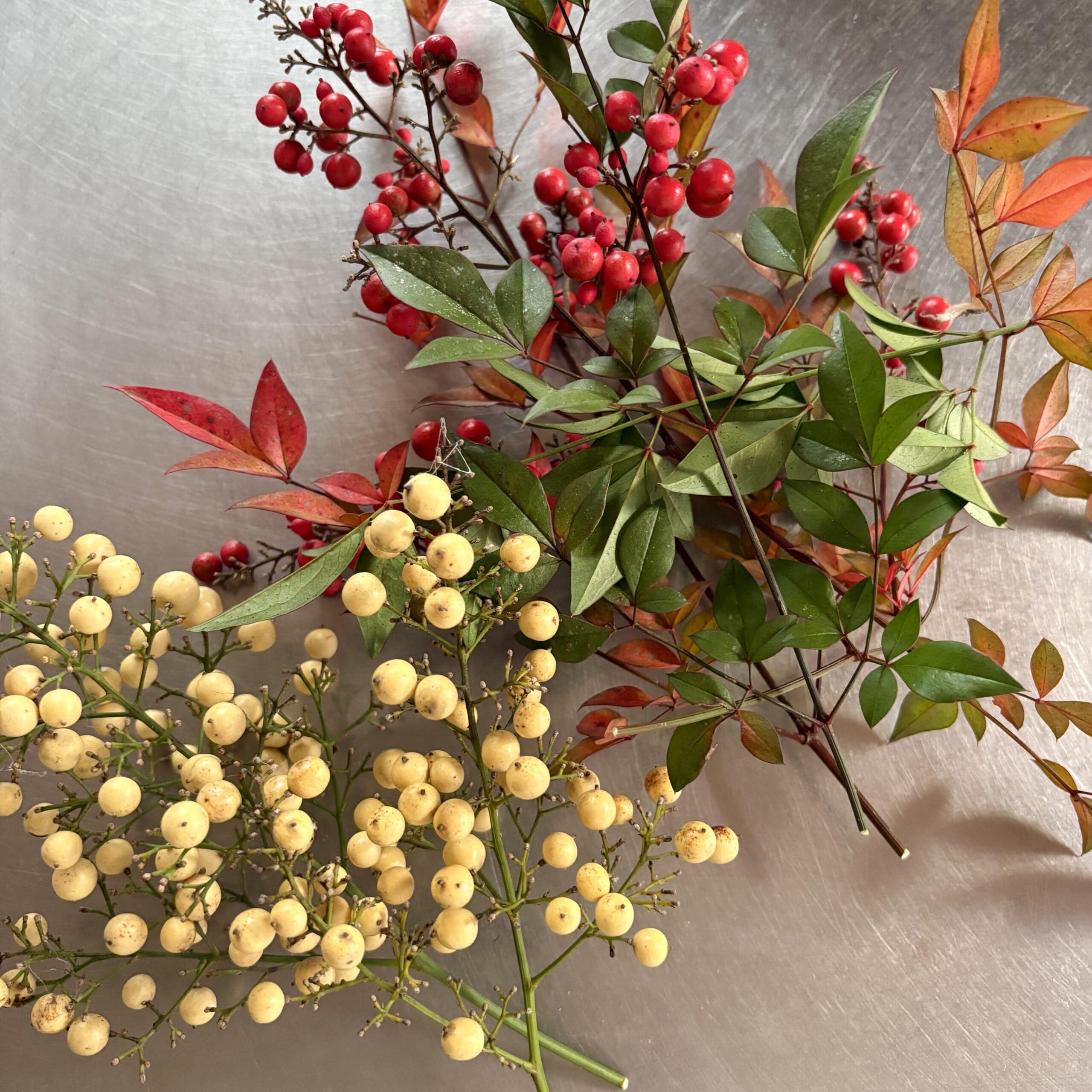 赤南天　白南天　おせち　お正月