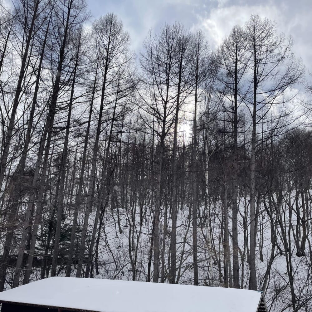 長野県松本市 Mt.乗鞍スノーリゾート スキー 雪山 ウィンタースポーツ