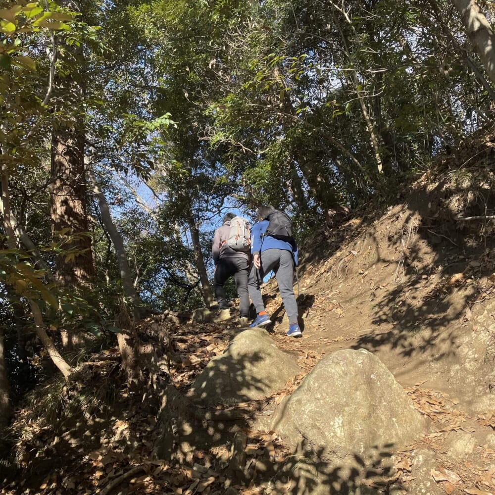 湘南平　湘南アルプス　相模湾　山登り　新年