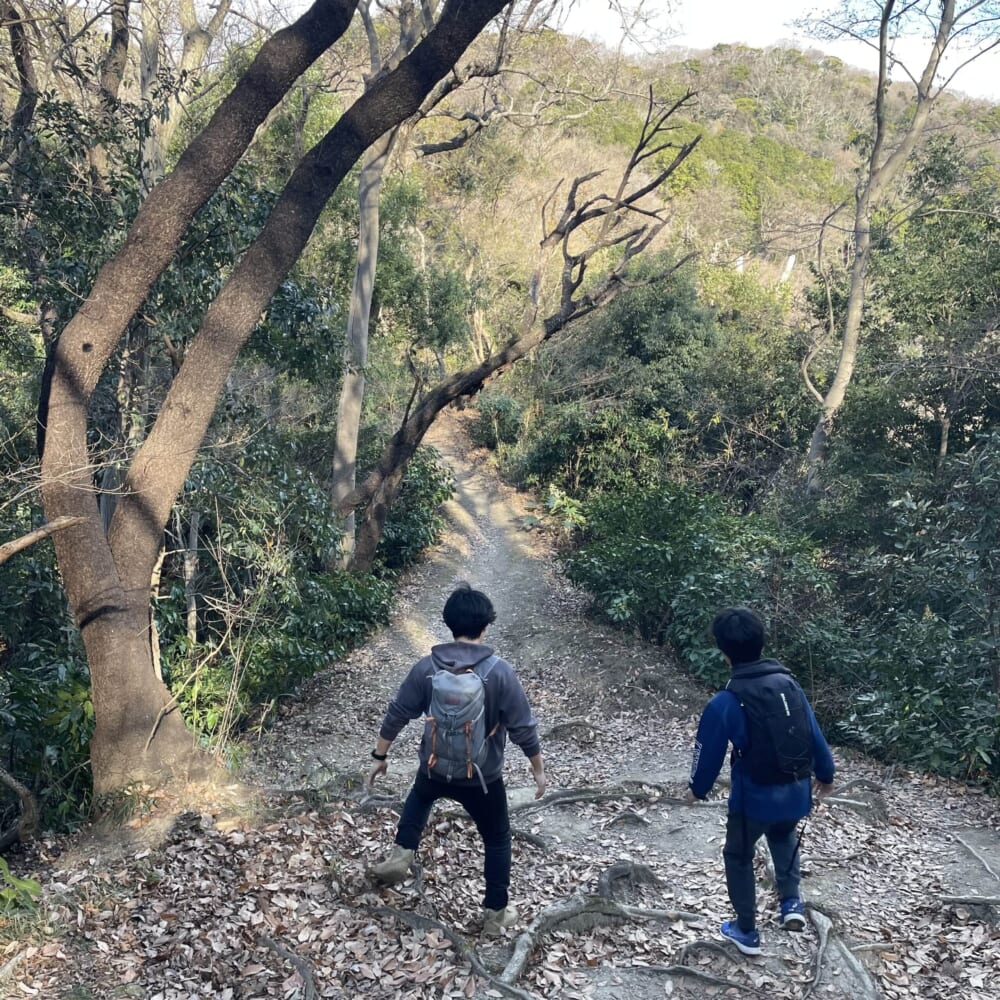 湘南平　湘南アルプス　相模湾　山登り　新年