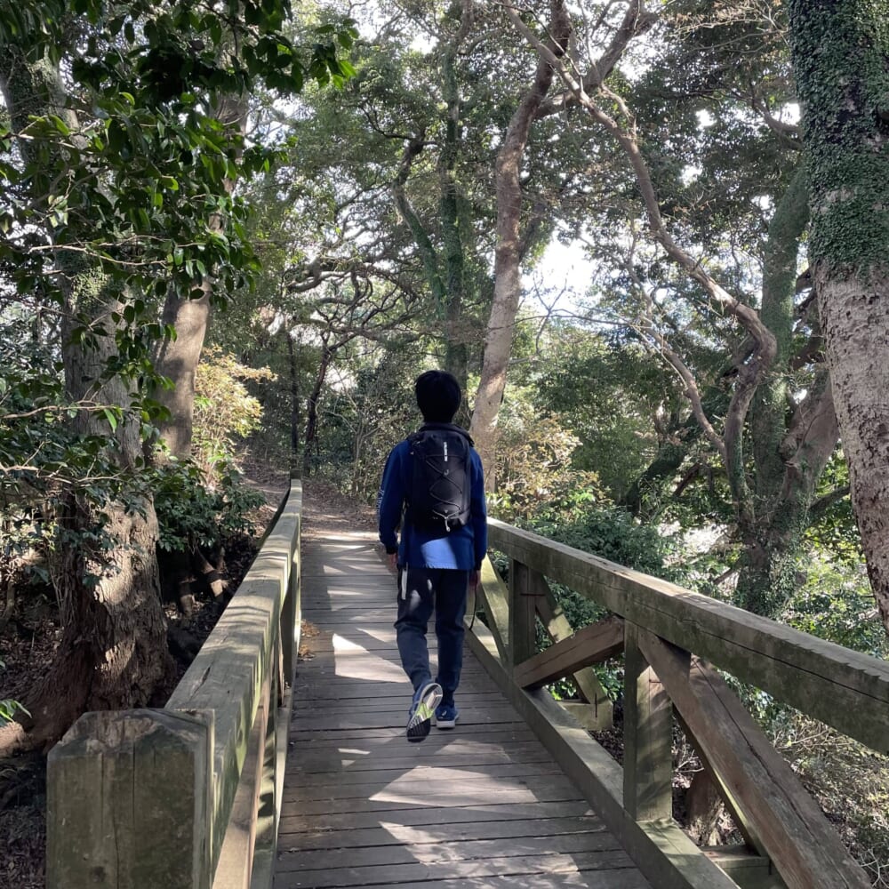 相模湾　山登り　新年　高麗山　高来神社