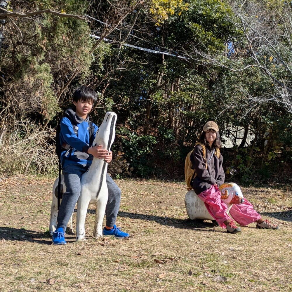 湘南平　湘南アルプス　相模湾　山登り　新年 公園遊具