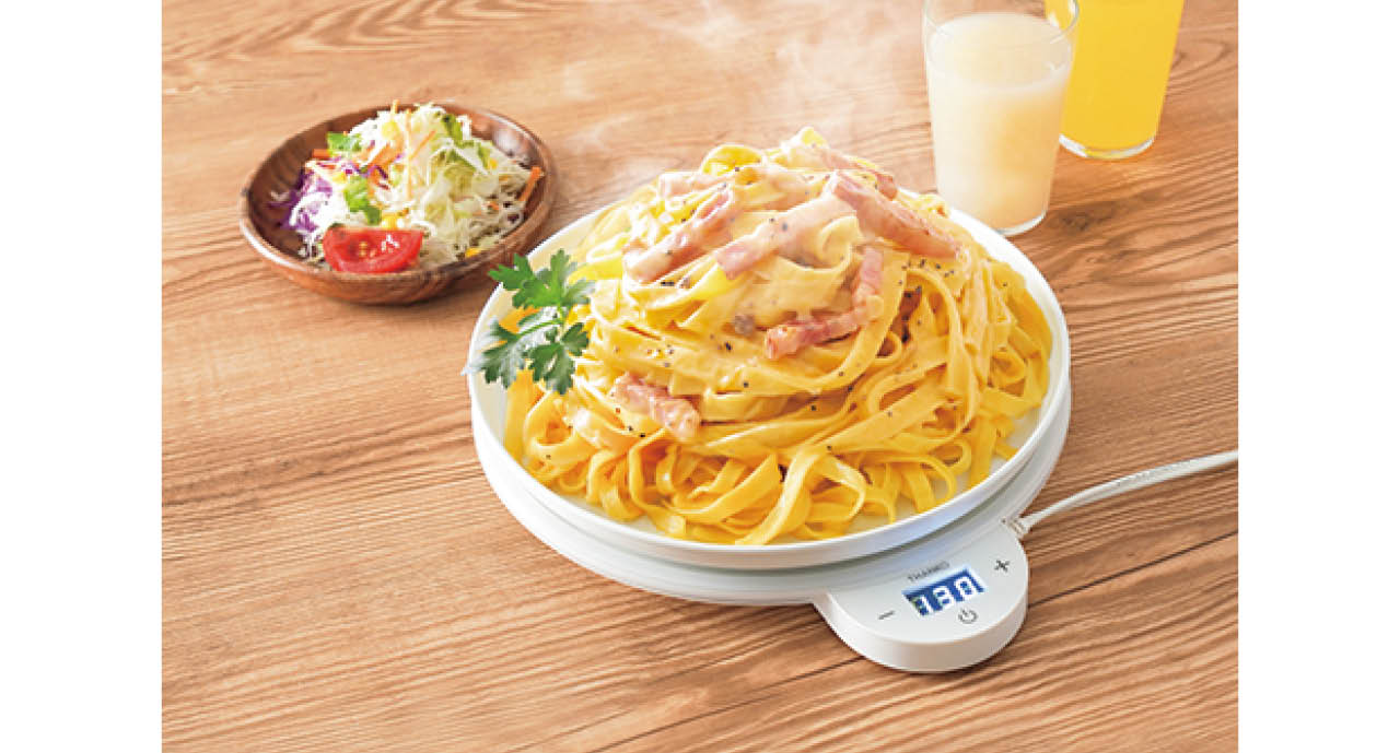 フードウォーマーディッシュ FDWD25SWH／サンコー