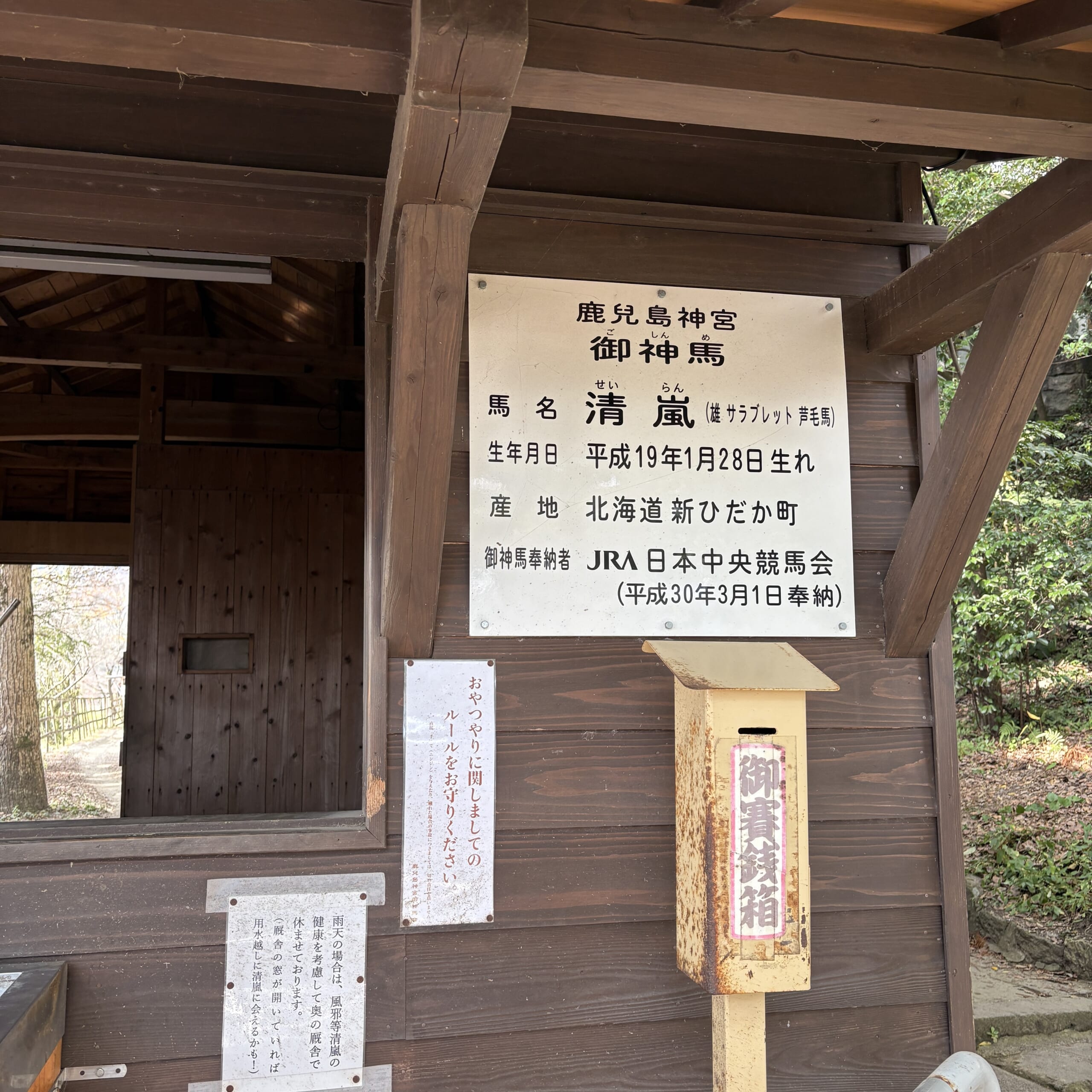 鹿児島神宮　霧島　御神馬　丙午　午年