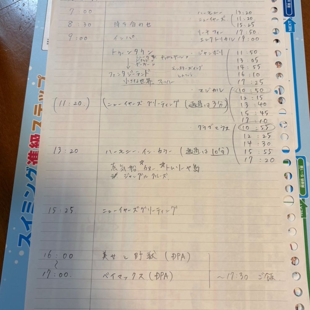 ディズニー　計画