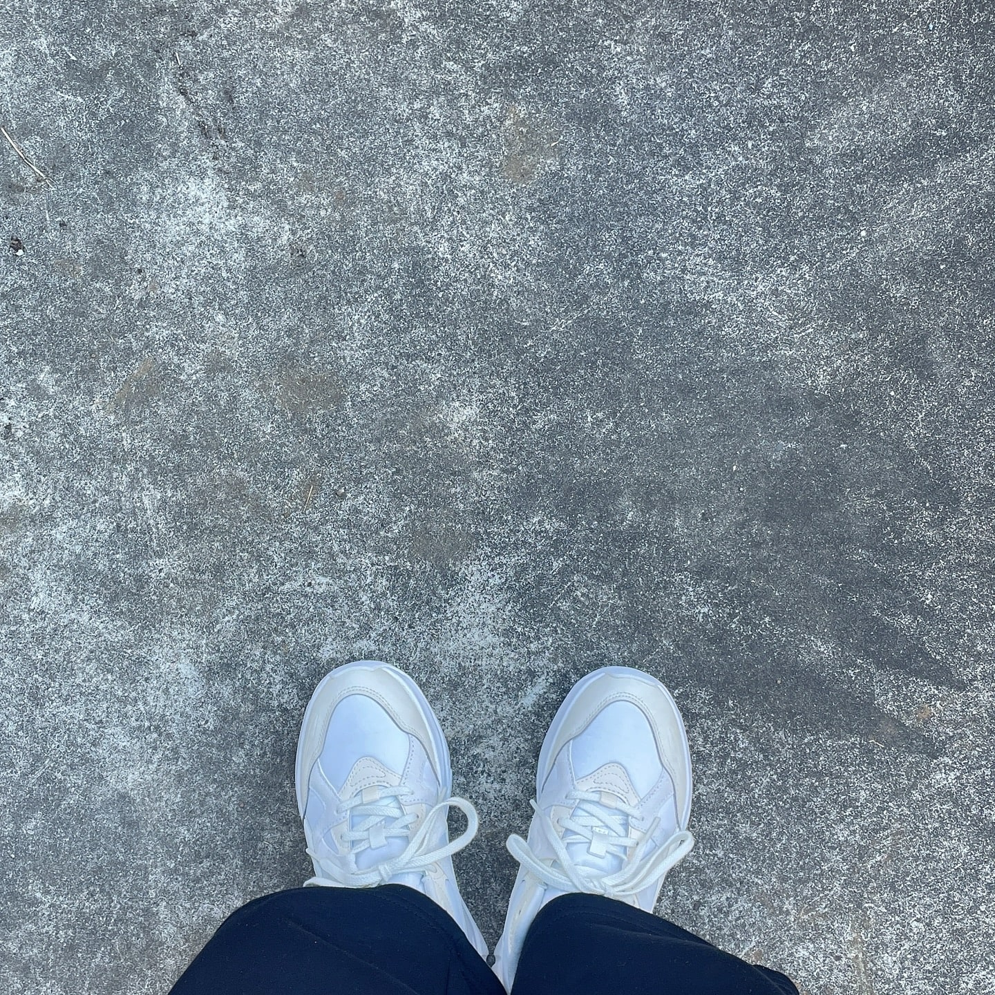 PUMA（プーマ）Sophyr WV Wns