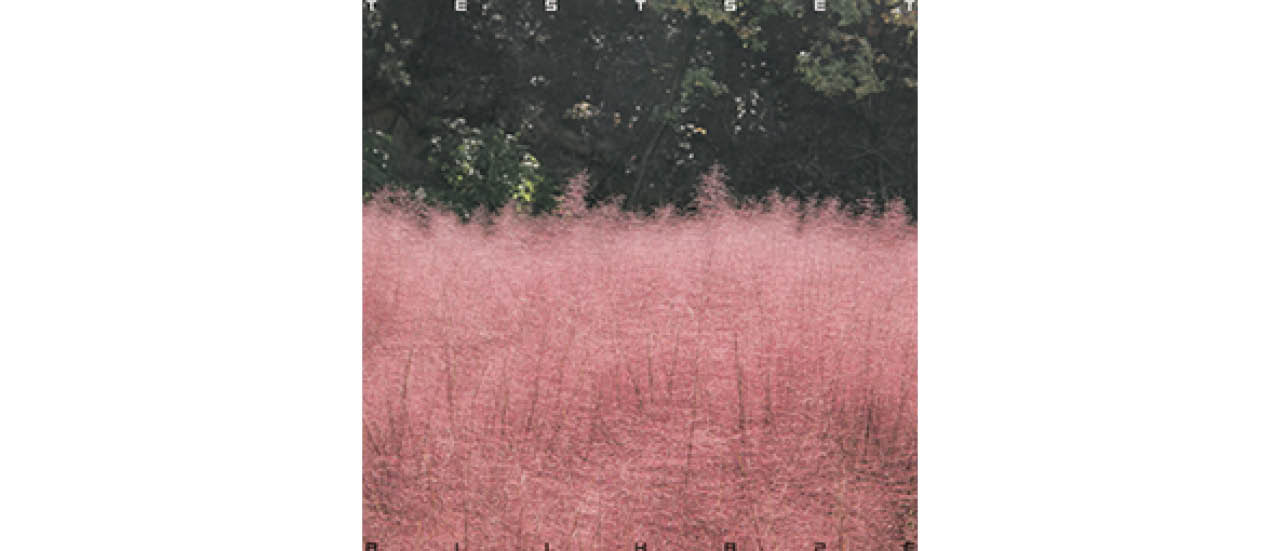 『ALL HAZE』TESTSET