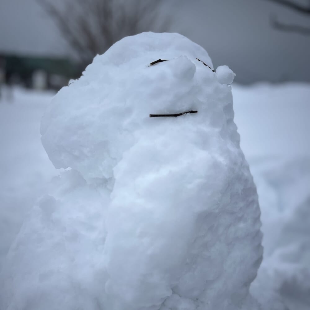 2026年 お正月 帰省 雪だるま