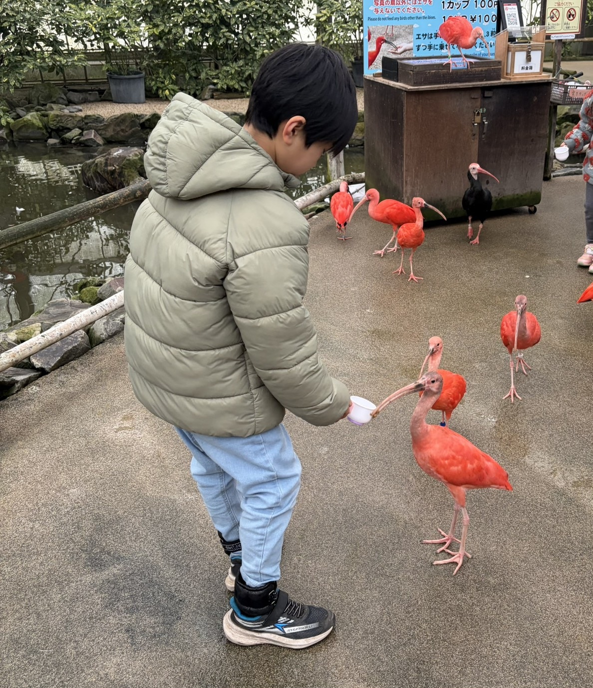 フォーゲルパーク
松江