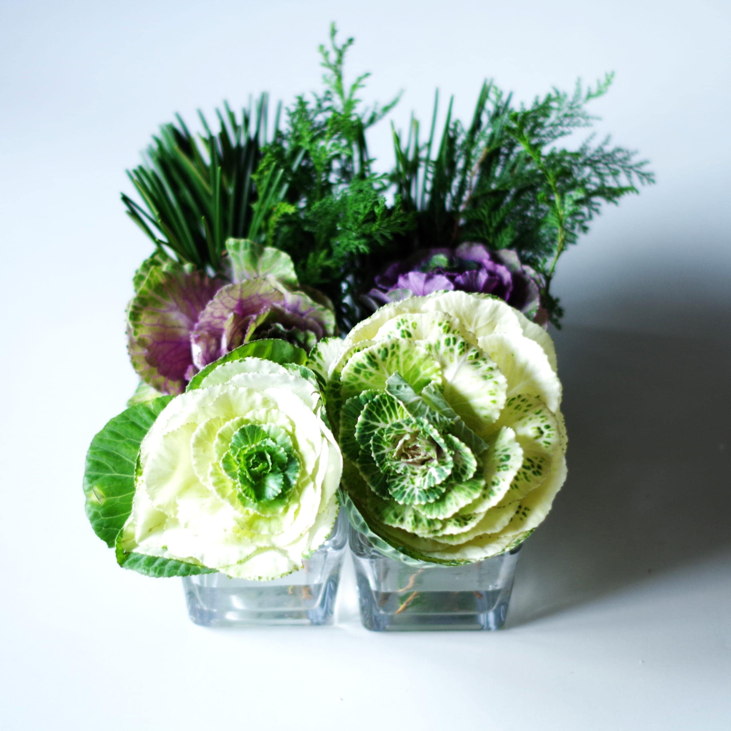 葉牡丹、松、ヒバ、ガラスの器、アレンジ