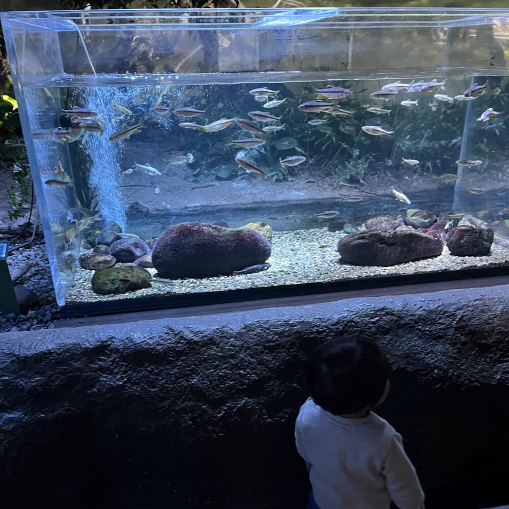 川崎水族館