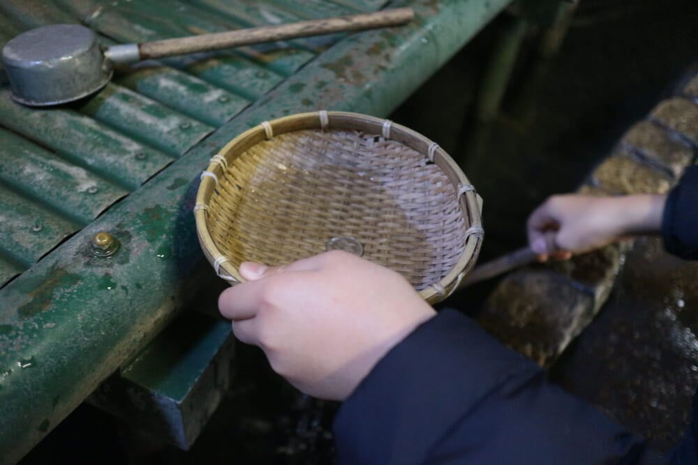 鎌倉　神社　神奈川県