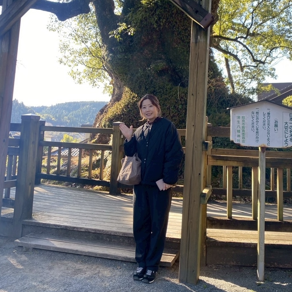 蒲生八幡神社　鹿児島県　姶良市　大クス