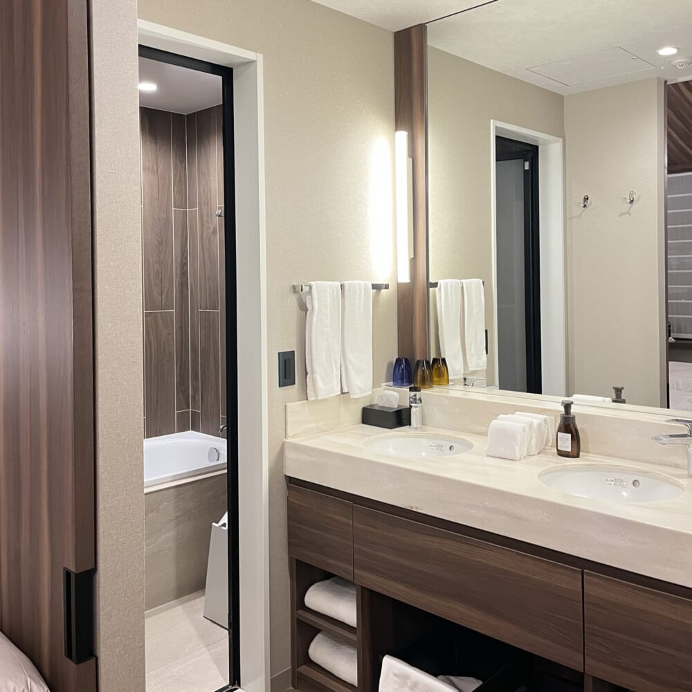 軽井沢　スキー　プリンスホテル