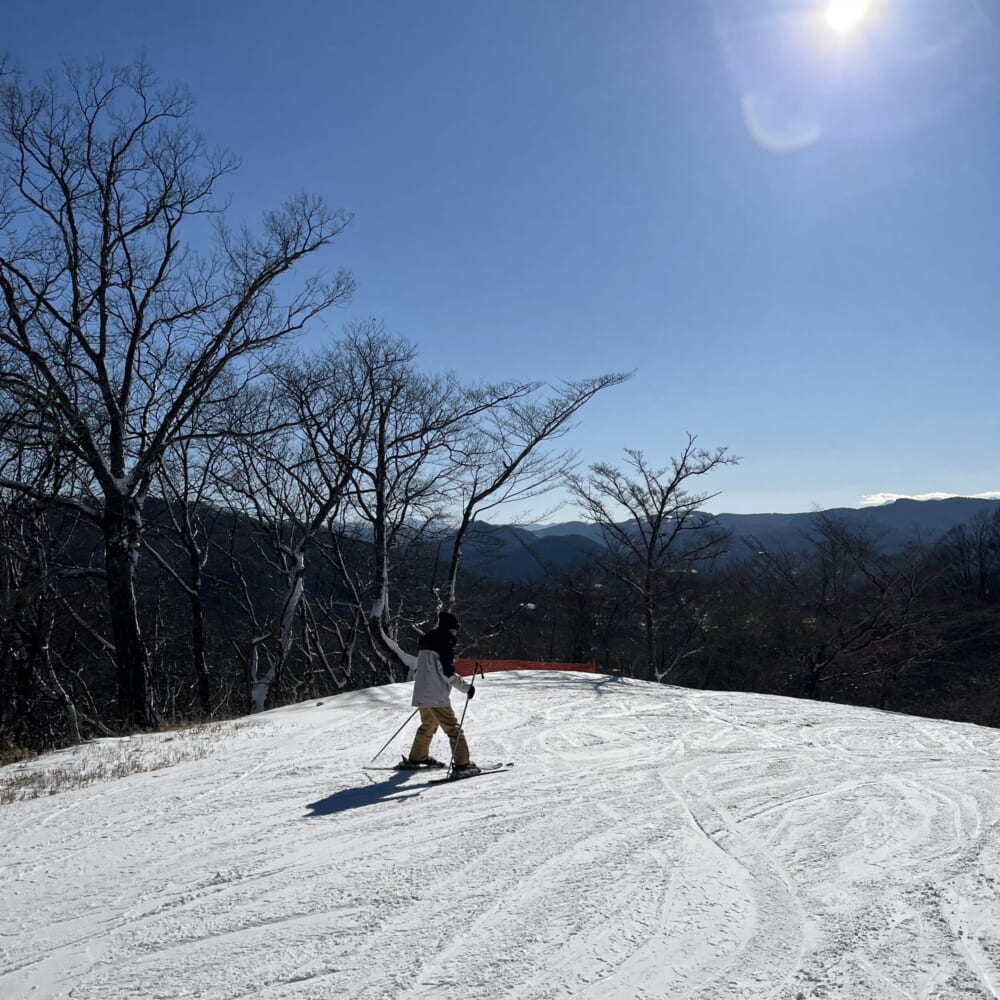 軽井沢　スキー　プリンスホテル