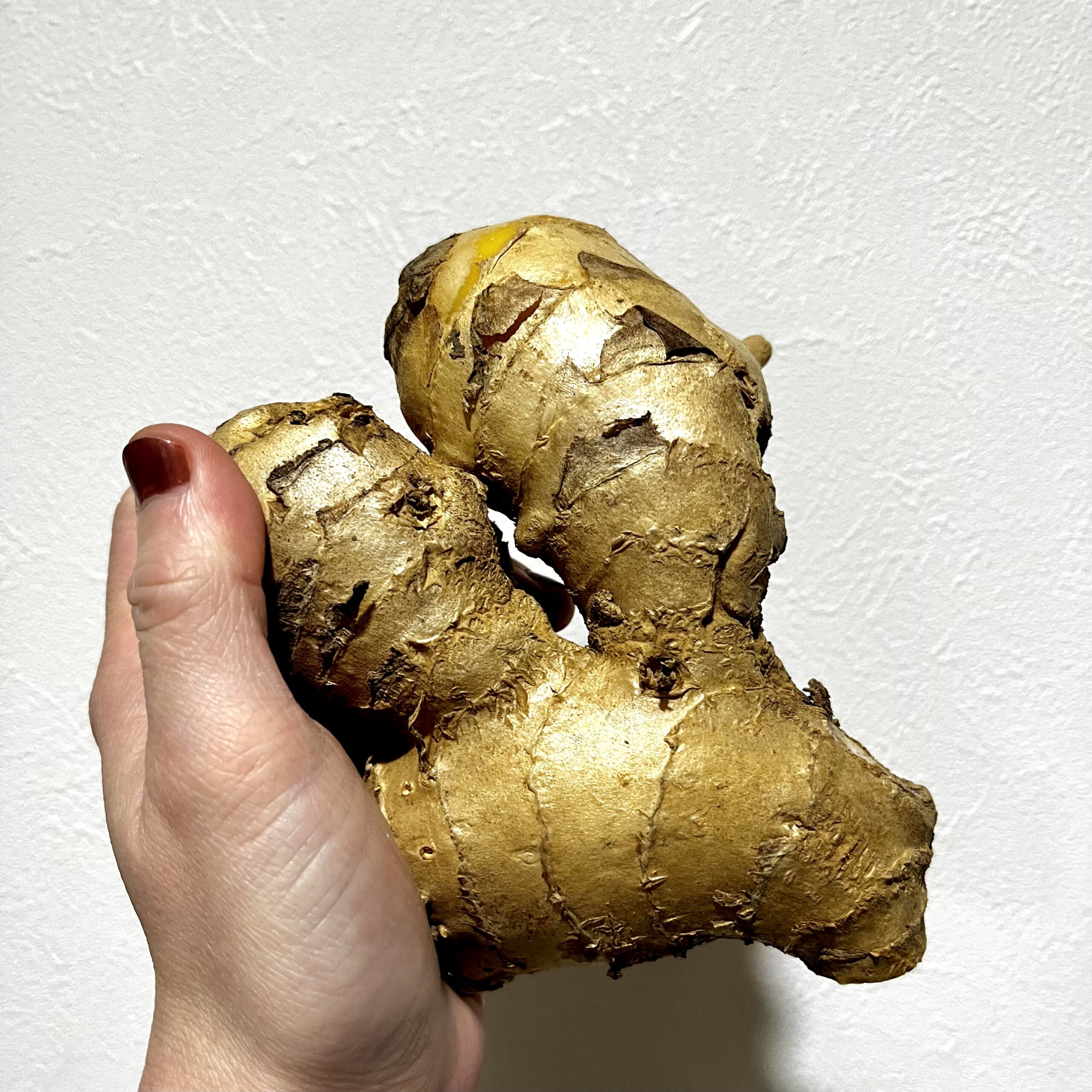 しょうが　生姜　野菜