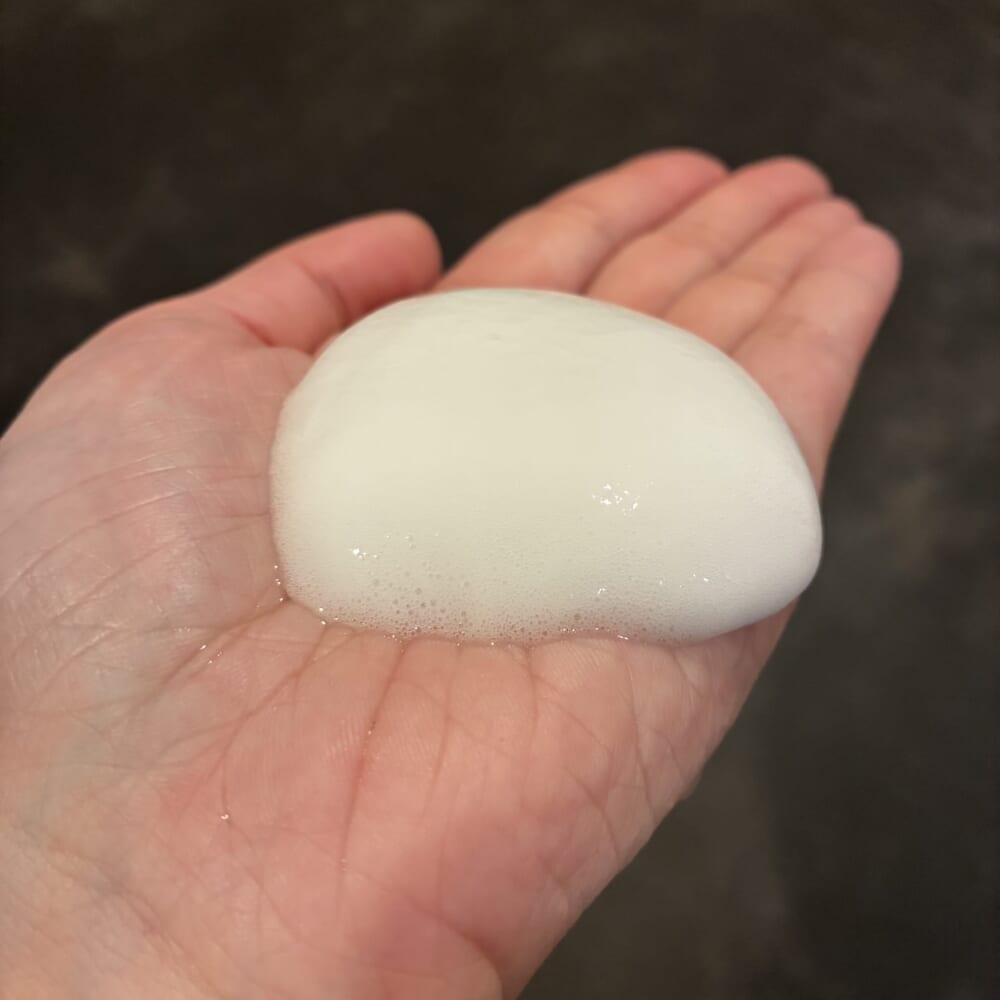 キュレル　泡ジェル洗顔　LEE