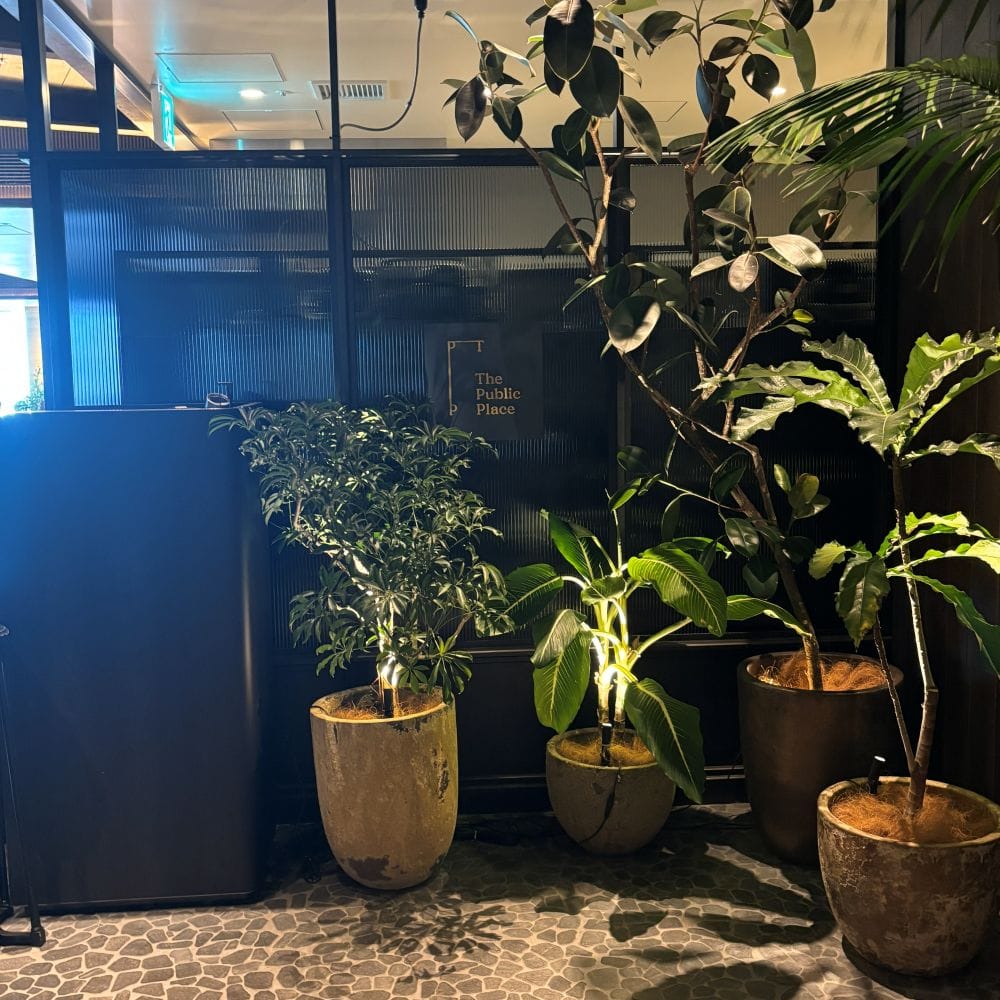 パブリックプレイス　レストラン　ランチ