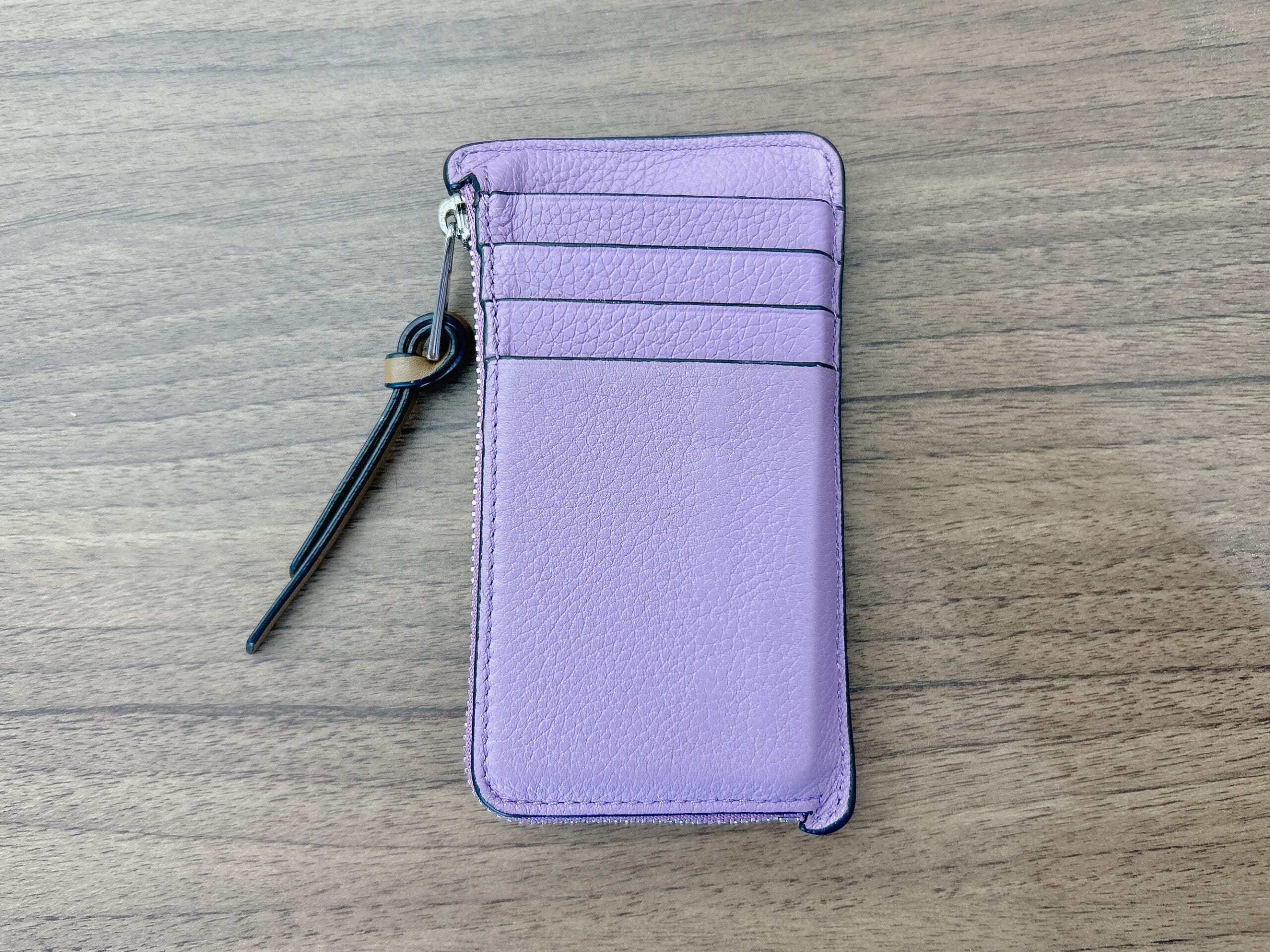 LEEエディターが愛用しているロエベのコインカードホルダーの裏面