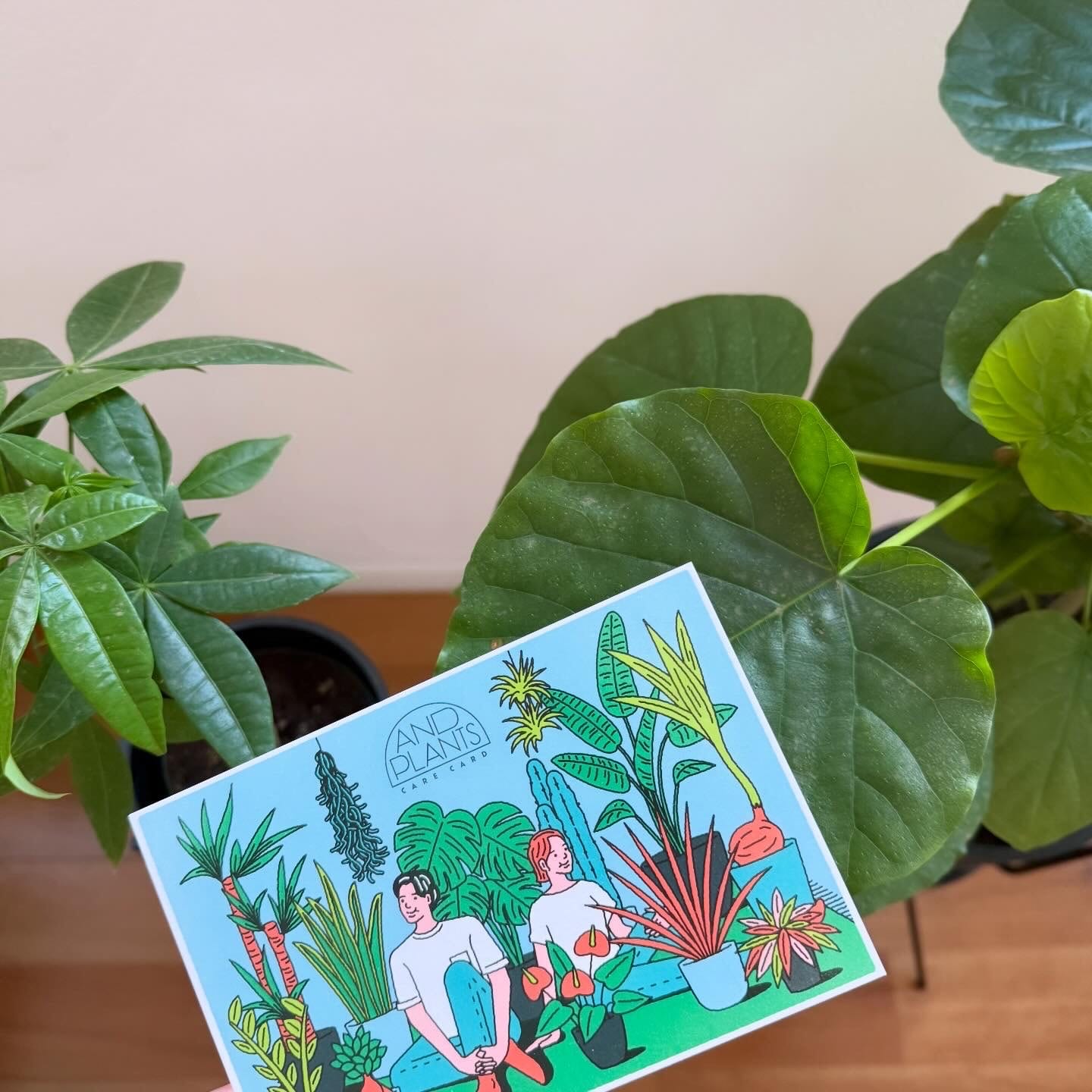 アンドプランツ