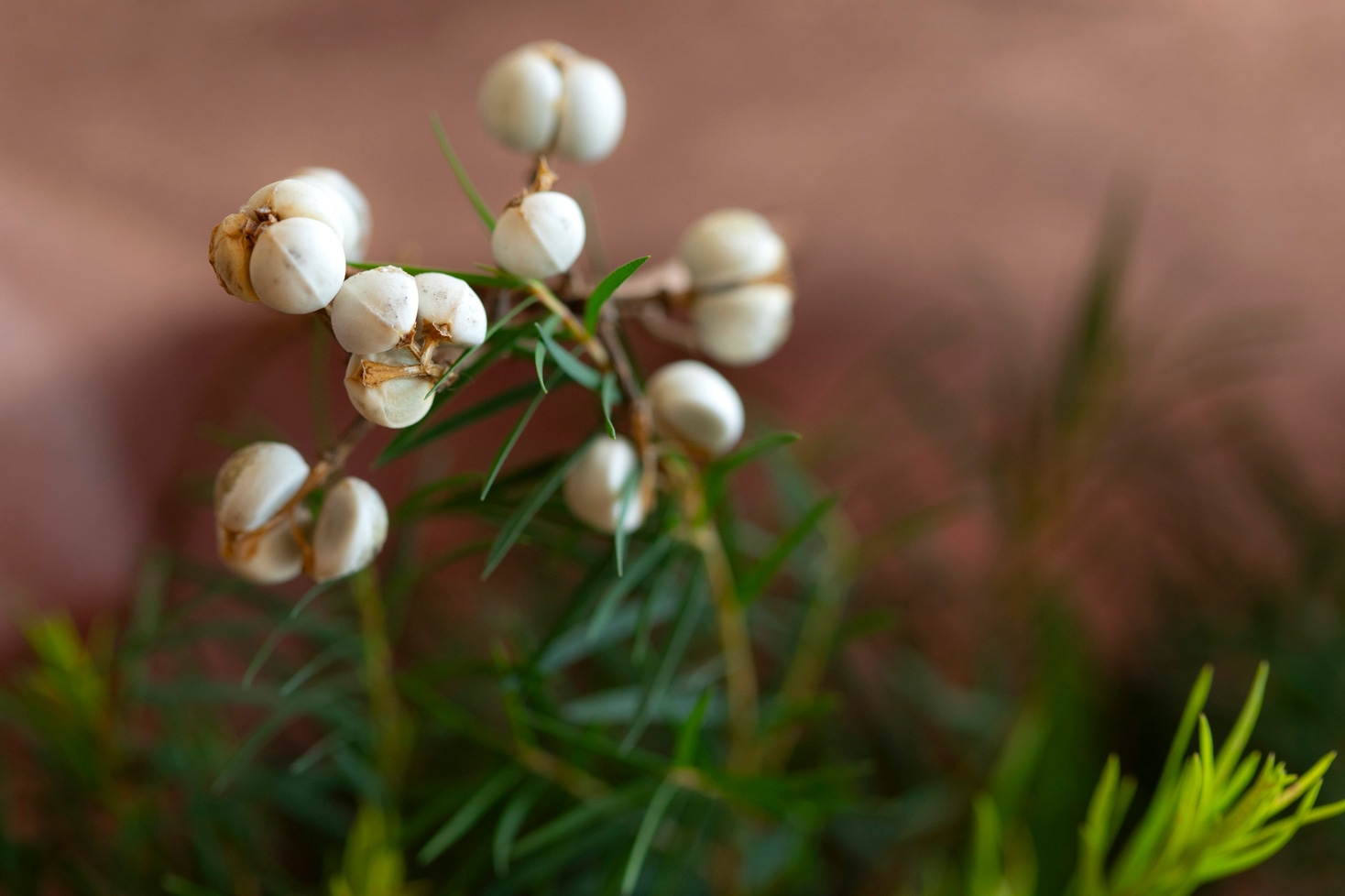 Sayaのご自愛レッスン　1月のブーケ2